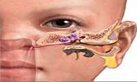 راه اندازی کلینیک ویژه تخصصی چشم و گوش حلق و بینی در بیمارستان متینی