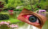 بهار و آلرژی‌های چشمی