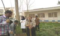 کاشت 40 اصله نهال زیتون در فضای سبز بیمارستان متینی